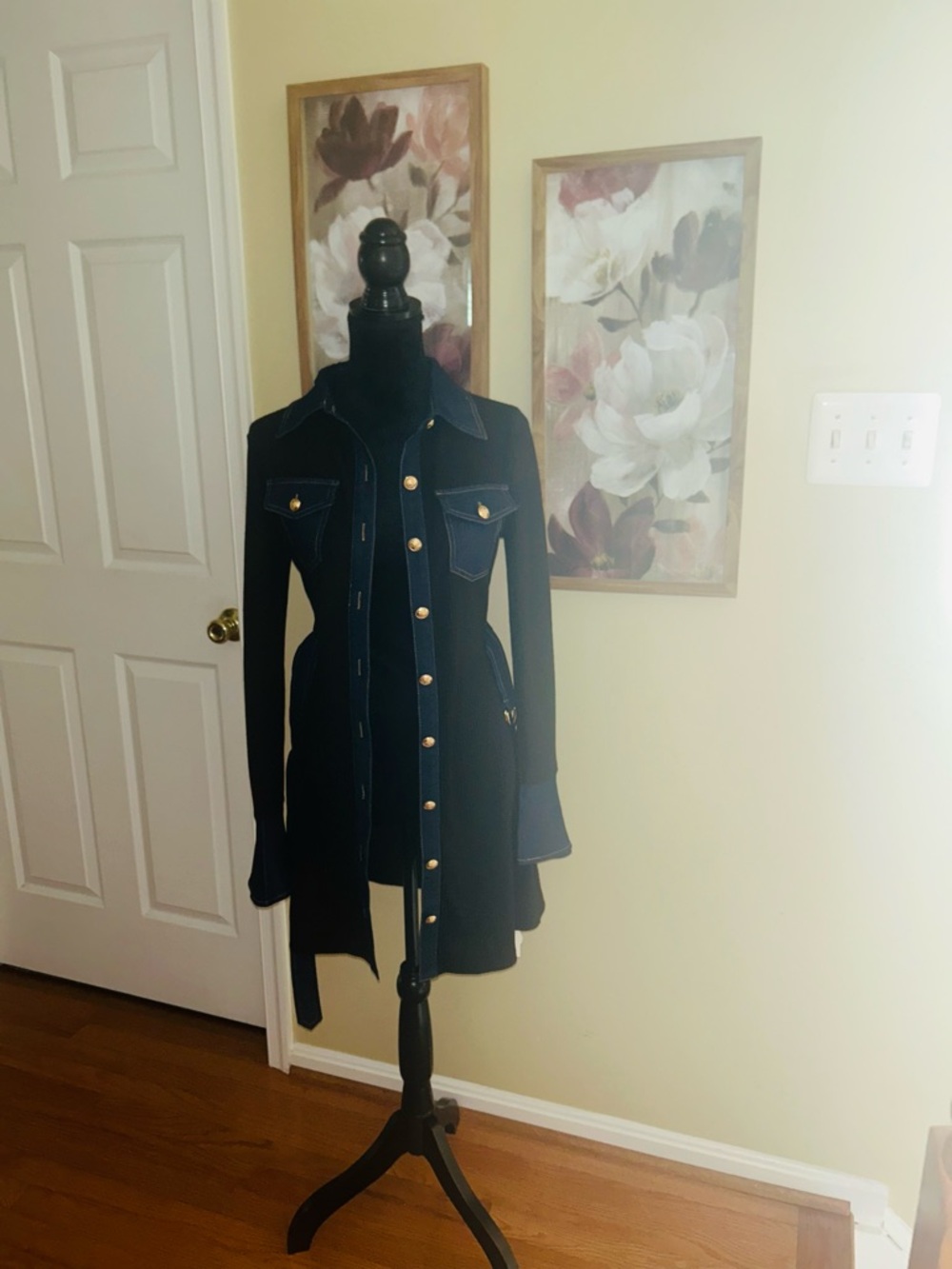 Commense Dress with Denim Collar with Gold Buttons
